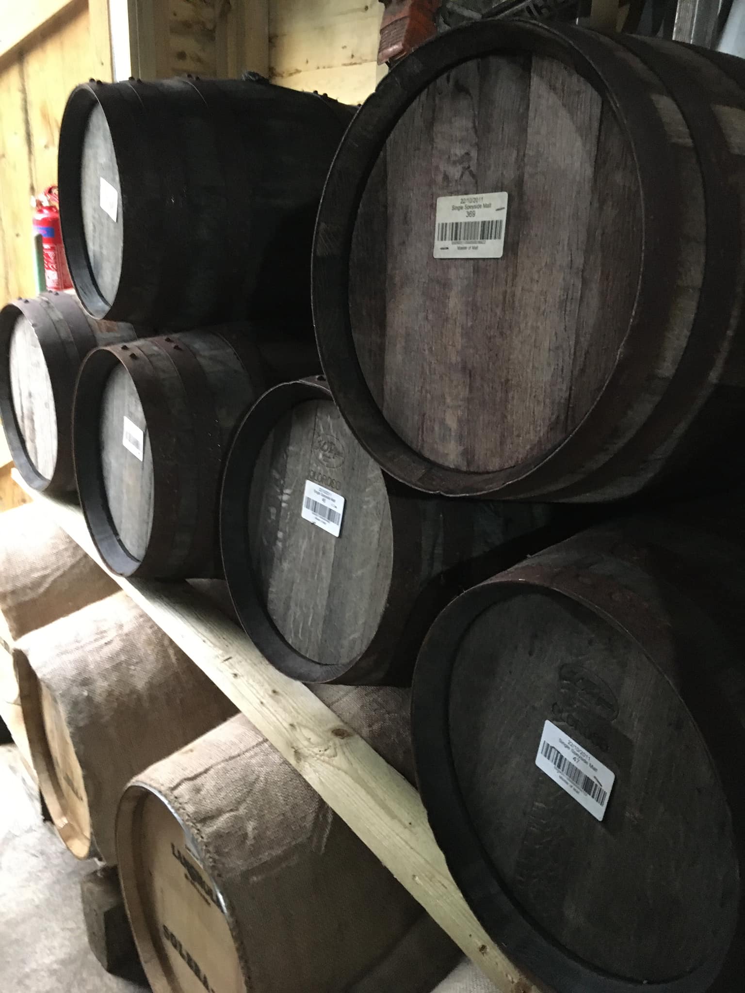 Plum Pálinka ( Portuguese Oak Aged ) 500ml